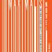 The Maximalist Novel: From Thomas Pynchon's Gravity's Rainbow to Roberto Bolaño's 2666, by Stefano Ercolino