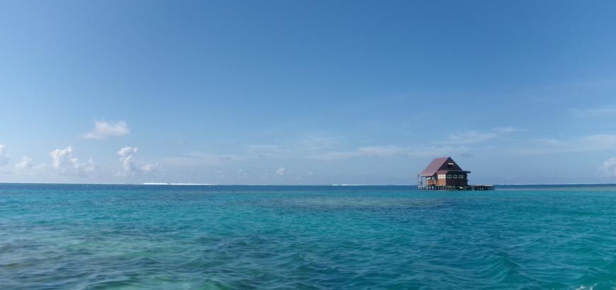 A small wooden house, used for pearl farming, is pictured, surrounded by water on all sides.